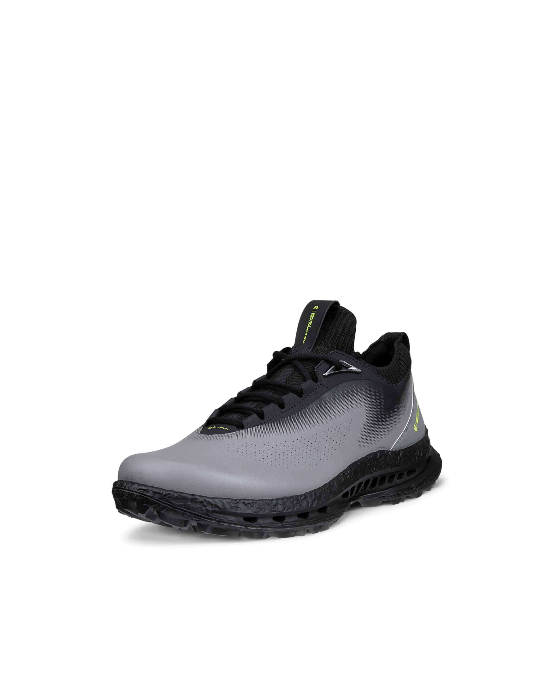 ECCO Men's M Golf BIOM C5 Grey/Black