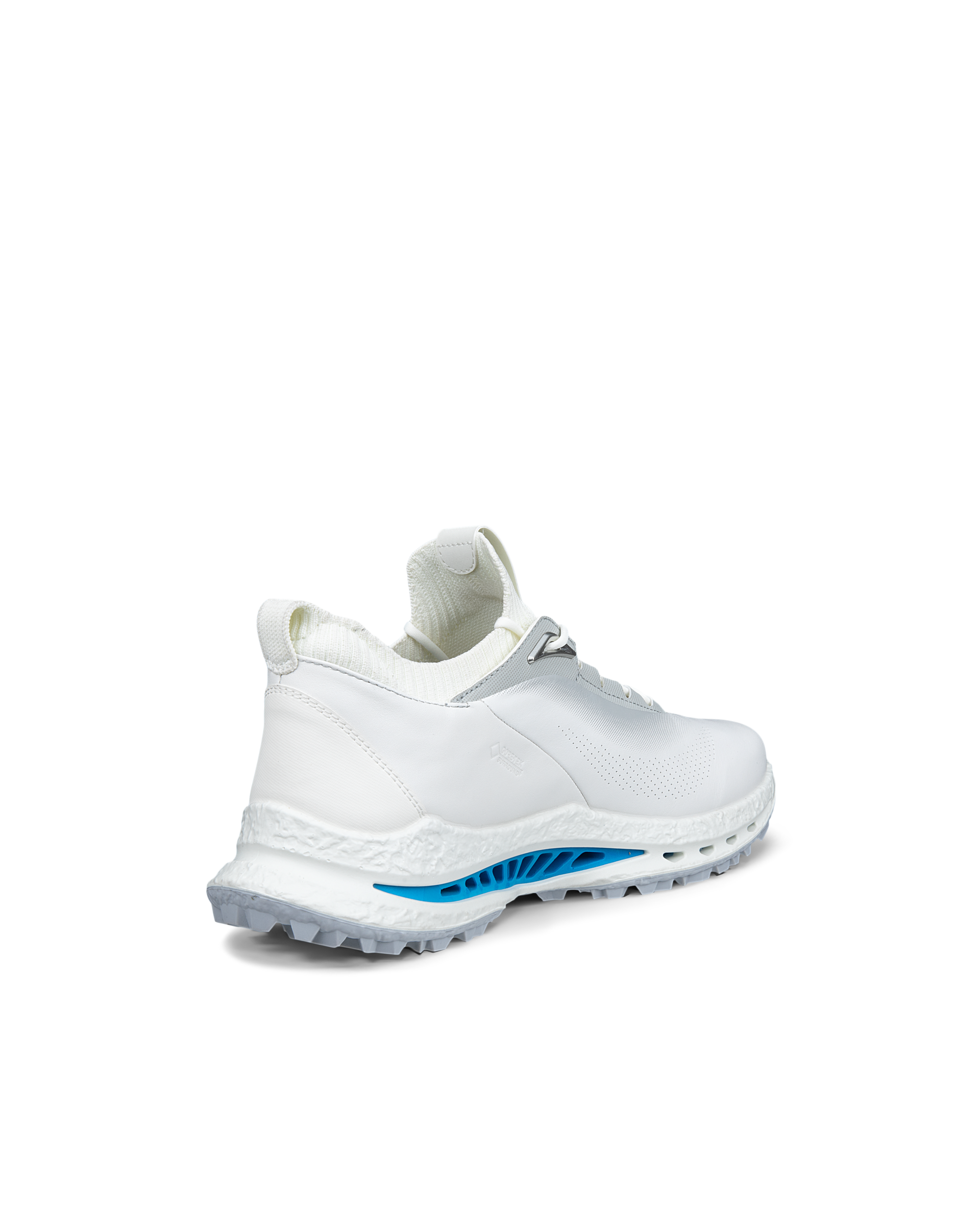 ECCO M Golf Biom C5 White/Concrete