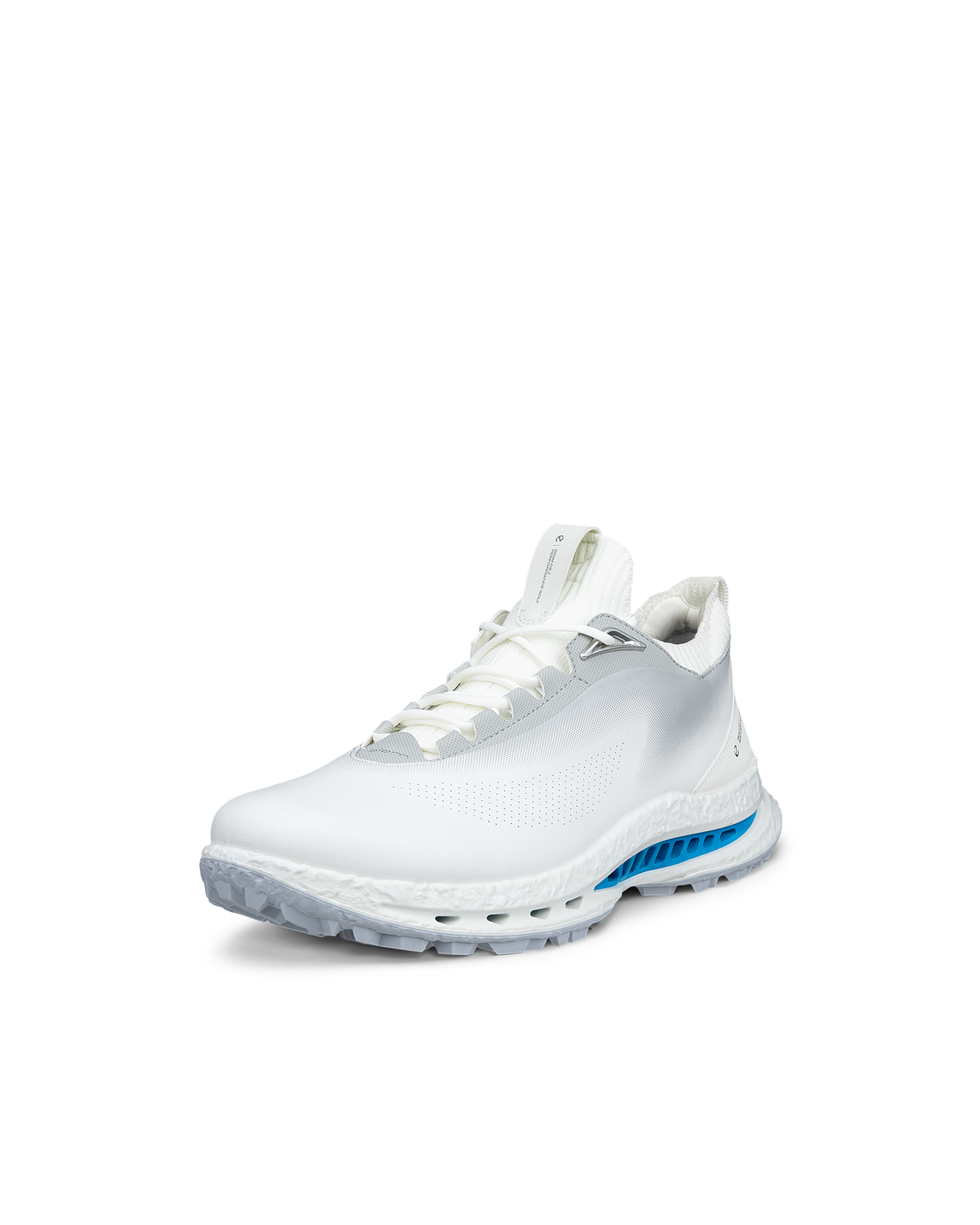 ECCO Men's M Golf Biom C5 White/Concrete