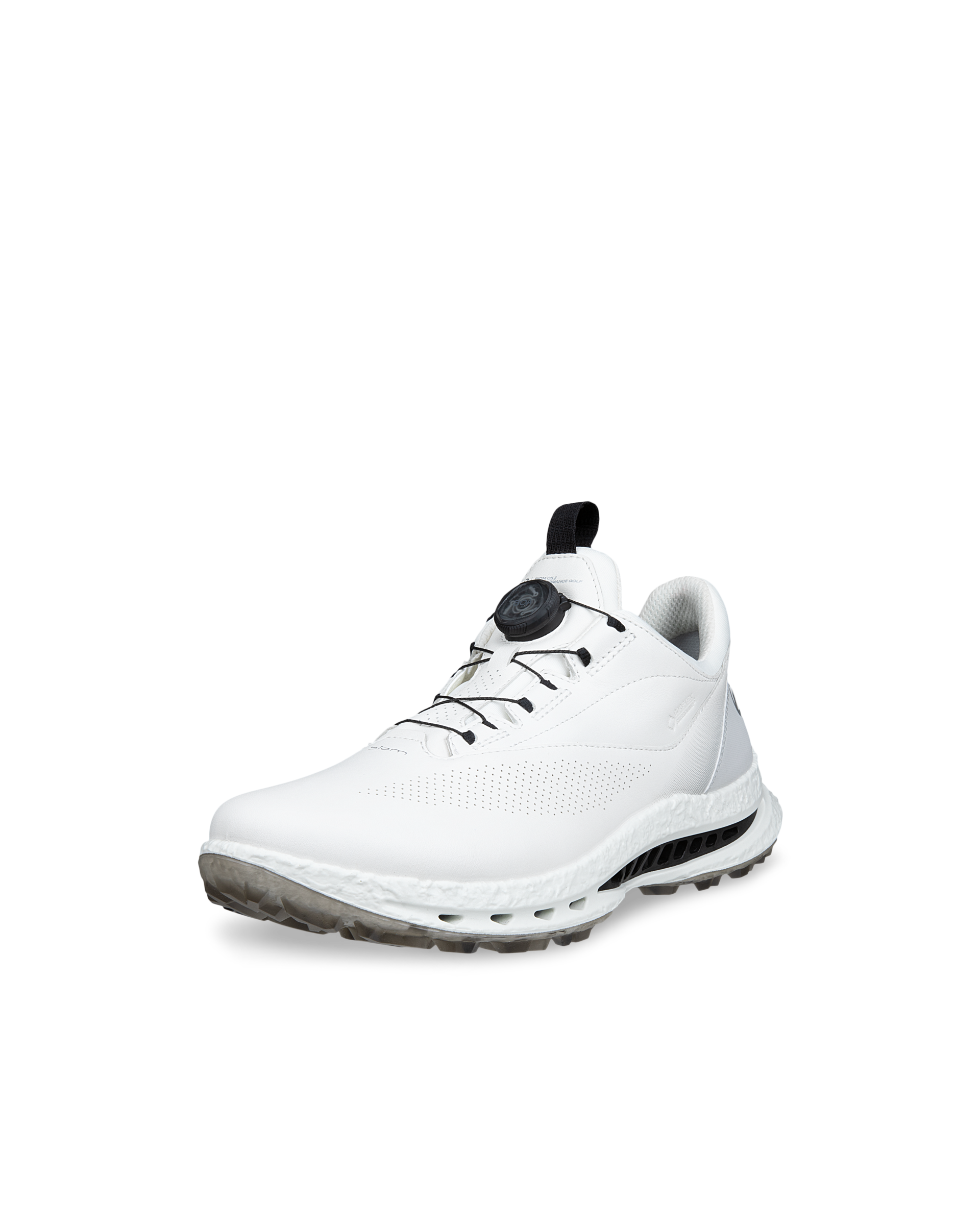 ECCO Men's M Golf Biom C5 White