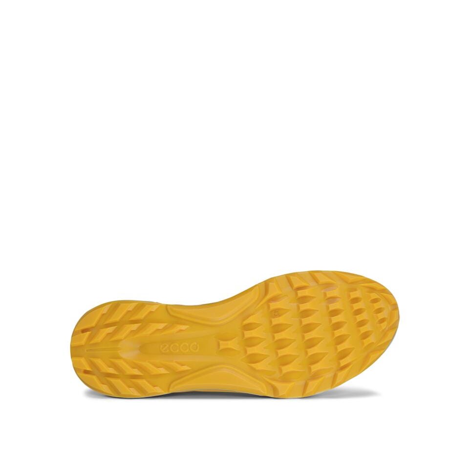 ECCO M Golf Biom C4 Wild Dove
