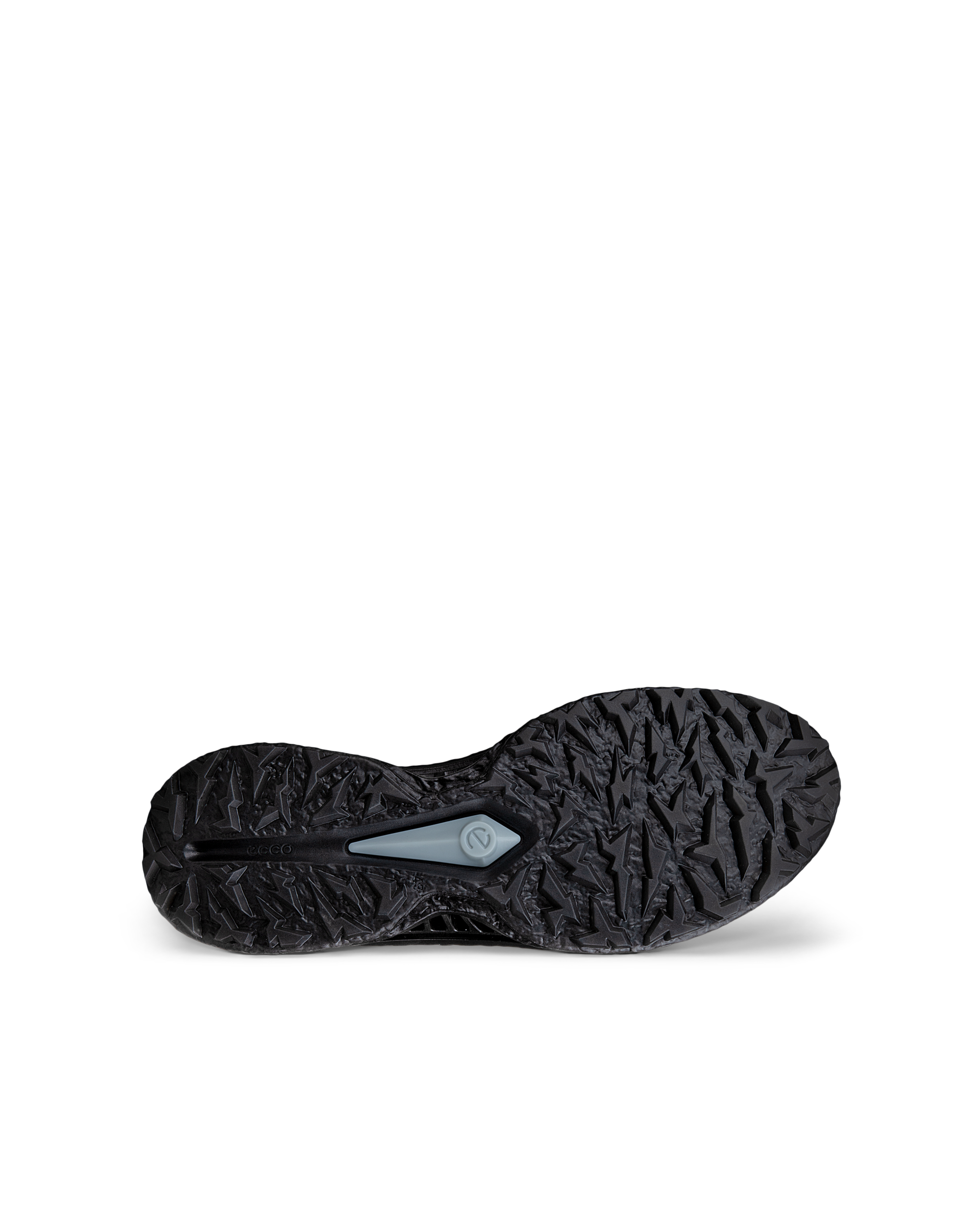 ECCO Men's M Golf BIOM C5 Grey/Black