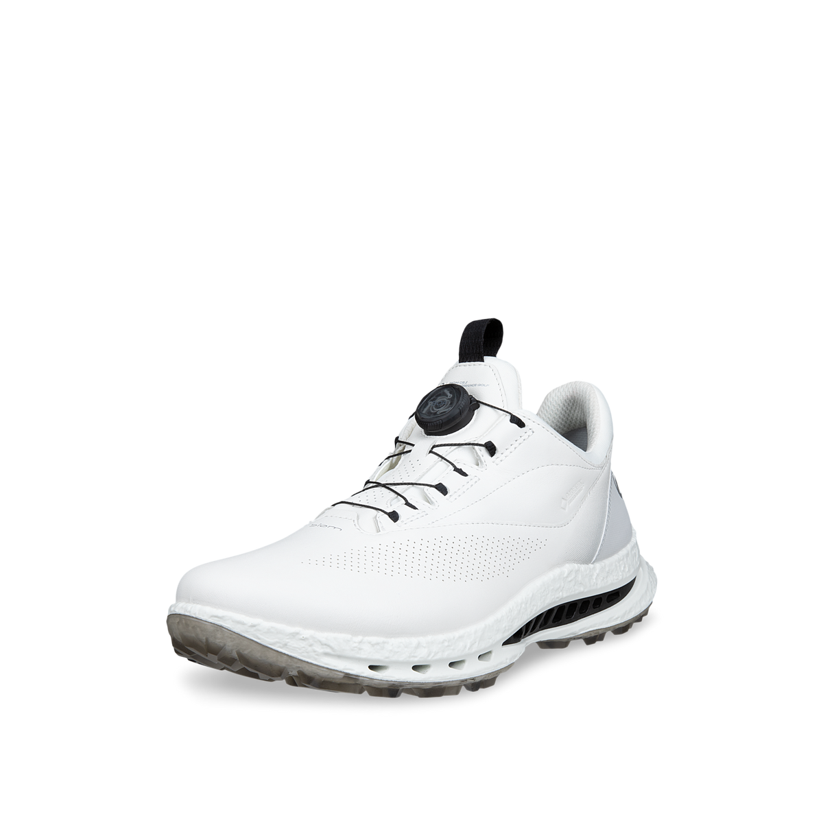 ECCO Men's M Golf Biom C5 White